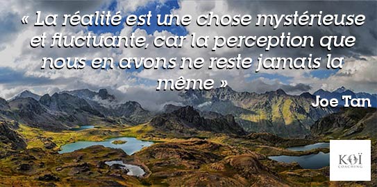 perception de la réalité