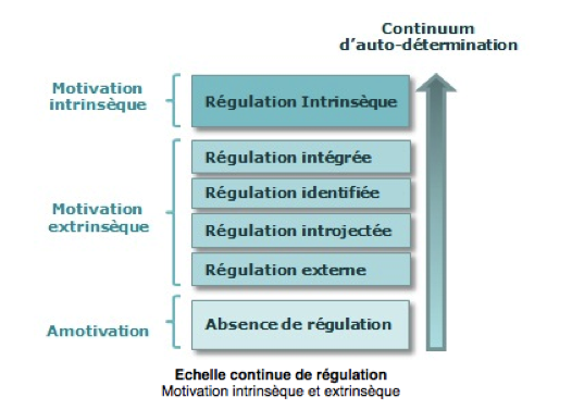 théorie d'auto-détermination